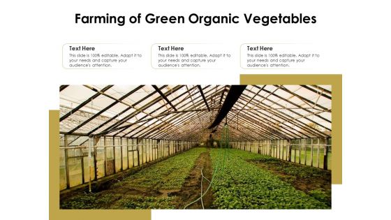 Farming Of Green Organic Vegetables Ppt PowerPoint Presentation Deck PDF