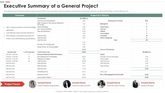 Feasibility Analysis Template Different Projects Executive Summary Of A General Project Formats PDF