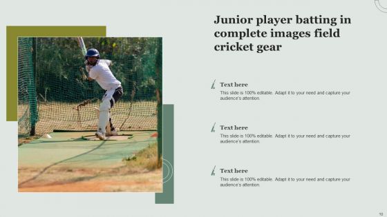 Field Cricket Images Ppt PowerPoint Presentation Complete With Slides