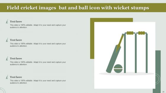 Field Cricket Images Ppt PowerPoint Presentation Complete With Slides