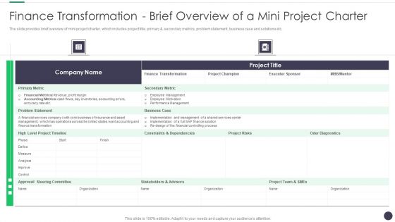 Finance And Accounting Online Conversion Plan Finance Transformation Brief Demonstration PDF