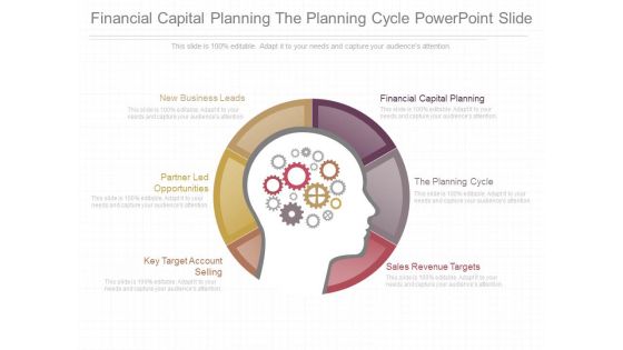 Financial Capital Planning The Planning Cycle Powerpoint Slide Financial Capital Planning The Planning Cycle Powerpoint Slide