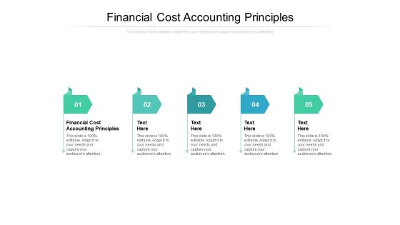 Financial Cost Accounting Principles Ppt PowerPoint Presentation Model Graphics Tutorials Cpb