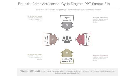 Financial Crime Assessment Cycle Diagram Ppt Sample File