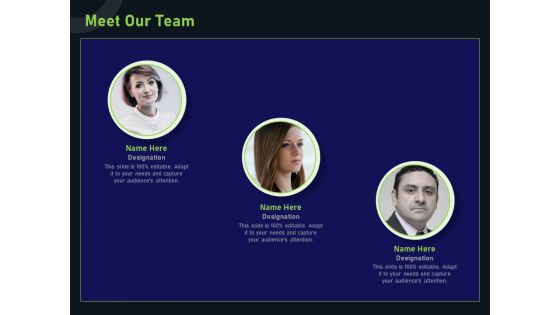 Financial Estimation Revamping Meet Our Team Ppt Inspiration Graphics PDF