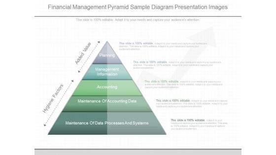 Financial Management Pyramid Sample Diagram Presentation Images
