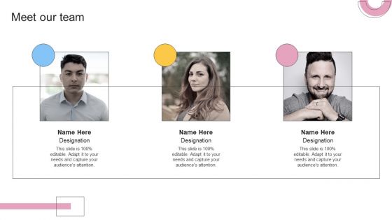 Financial Planning And Examination Plan For Small And Large Enterprises Meet Our Team Portrait PDF