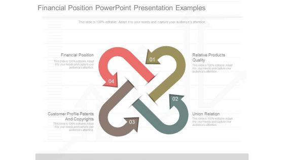 Financial Position Powerpoint Presentation Examples