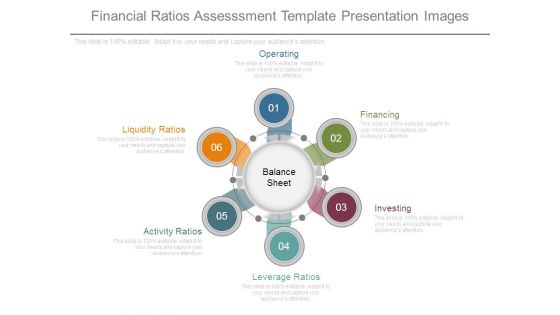 Financial Ratios Assesssment Template Presentation Images