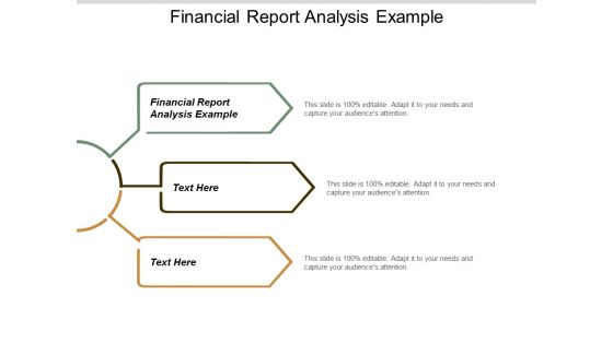 Financial Report Analysis Example Ppt Powerpoint Presentation Infographics Show Cpb
