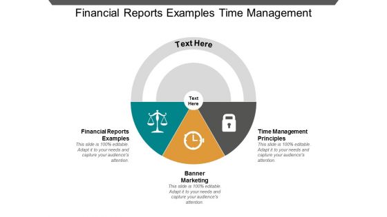 Financial Reports Examples Time Management Principles Banner Marketing Ppt PowerPoint Presentation Portfolio Display