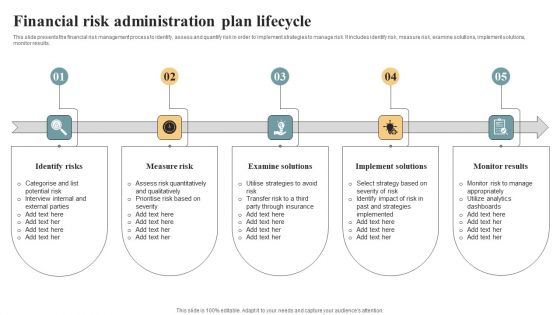 Financial Risk Administration Plan Lifecycle Background PDF