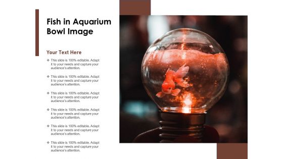 Fish In Aquarium Bowl Image Ppt PowerPoint Presentation Gallery Slides PDF