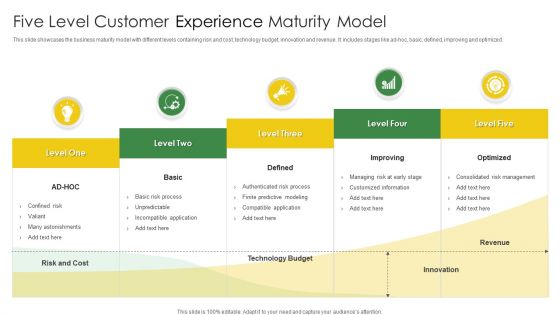 Five Level Customer Experience Maturity Model Icons PDF