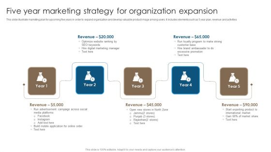 Five Year Marketing Strategy For Organization Expansion Icons PDF