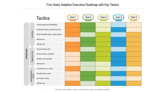 Five Yearly Adaptive Executive Roadmap With Key Tactics Structure