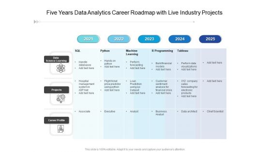 Five Years Data Analytics Career Roadmap With Live Industry Projects Portrait
