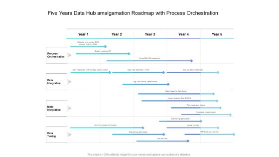 Five Years Data Hub Amalgamation Roadmap With Process Orchestration Themes