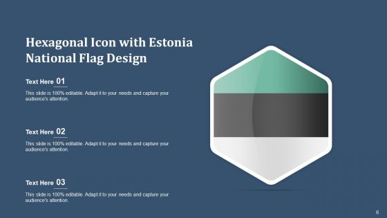 Flag Of Estonia Historical Design Ppt PowerPoint Presentation Complete Deck With Slides
