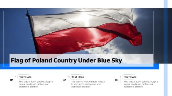 Flag Of Poland Country Under Blue Sky Ppt Show Gallery PDF