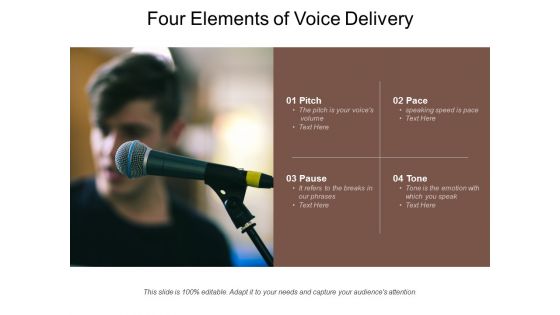 Four Elements Of Voice Delivery Ppt PowerPoint Presentation File Show Four Elements Of Voice Delivery Ppt PowerPoint Presentation File Show