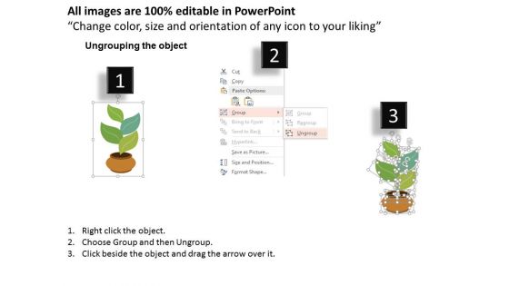 Four Leaves Of Plant Diagram Powerpoint Template