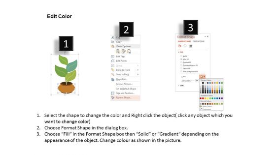 Four Leaves Of Plant Diagram Powerpoint Template