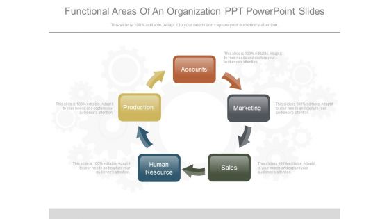 Functional Areas Of An Organization Ppt Powerpoint Slides