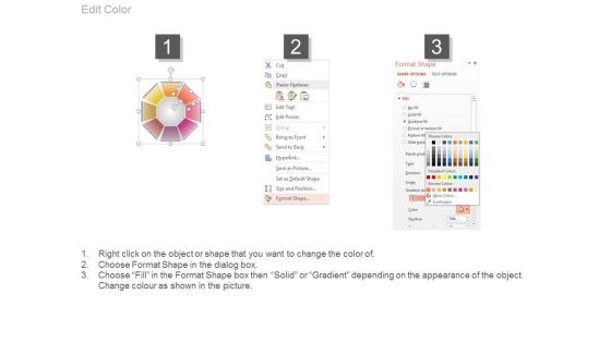 Functional Level Strategy Global Level Strategy Ppt Slides