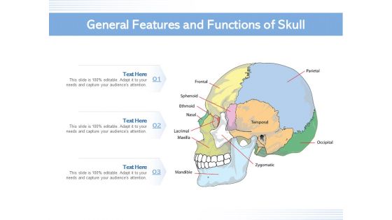 General Features And Functions Of Skull Ppt PowerPoint Presentation Gallery Visual Aids PDF