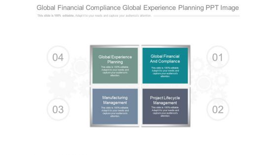 Global Financial Compliance Global Experience Planning Ppt Image
