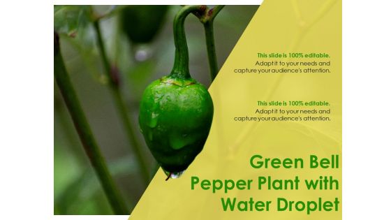 Green Bell Pepper Plant With Water Droplet Ppt PowerPoint Presentation Inspiration Graphics Template PDF