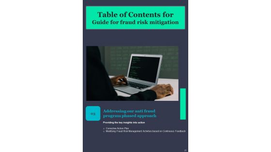 Guide For Fraud Risk Mitigation Template
