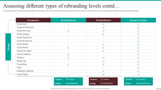 Guide For Systematic Assessing Different Types Of Rebranding Levels Portrait PDF