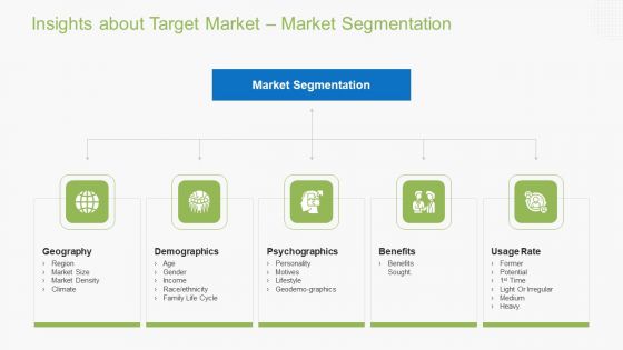 Guidebook For Business Insights About Target Market Market Segmentation Formats PDF