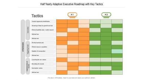 Half Yearly Adaptive Executive Roadmap With Key Tactics Formats