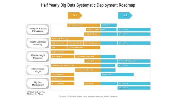 Half Yearly Big Data Systematic Deployment Roadmap Graphics