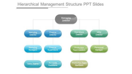 Hierarchical Management Structure Ppt Slides