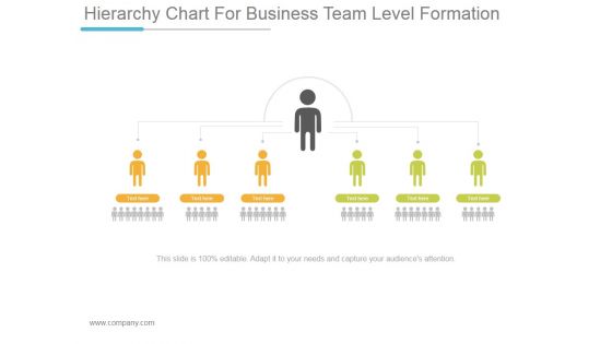 Hierarchy Chart For Business Team Level Formation Ppt PowerPoint Presentation Files