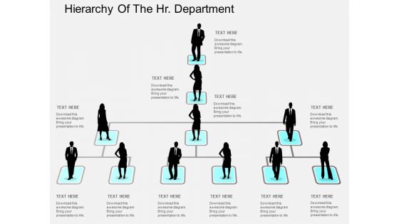 Hierarchy Of The Hr Department Powerpoint Templates