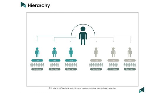 Hierarchy Ppt Powerpoint Presentation File Maker