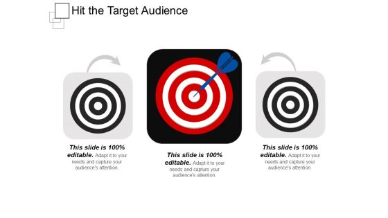 Hit The Target Audience Ppt PowerPoint Presentation Show Graphics Example