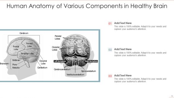 Human Anatomy Ppt PowerPoint Presentation Complete With Slides