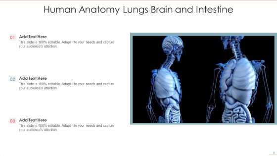 Human Anatomy Ppt PowerPoint Presentation Complete With Slides