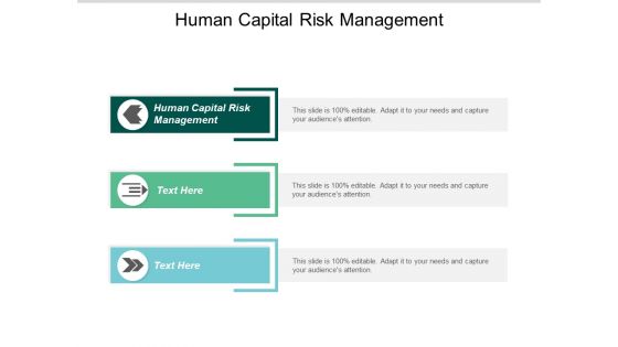 Human Capital Risk Management Ppt PowerPoint Presentation Model Background Designs Cpb