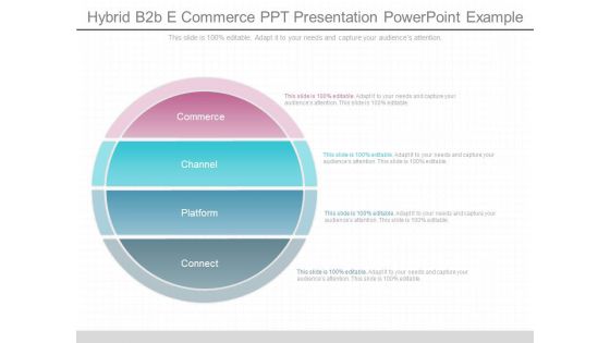 Hybrid B2b E Commerce Ppt Presentation Powerpoint Example