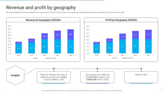 IT Application Services Company Outline Revenue And Profit By Geography Rules PDF
