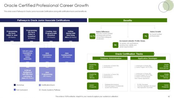 IT Professional Data Certification Program Ppt PowerPoint Presentation Complete With Slides