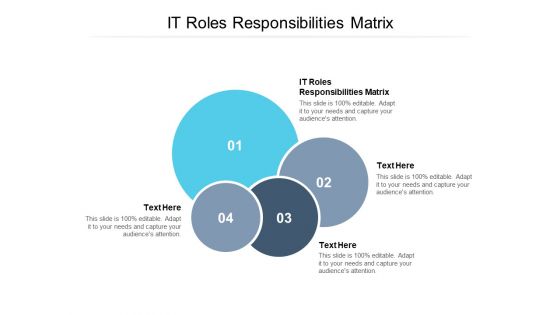 IT Roles Responsibilities Matrix Ppt PowerPoint Presentation Summary Diagrams Cpb Pdf