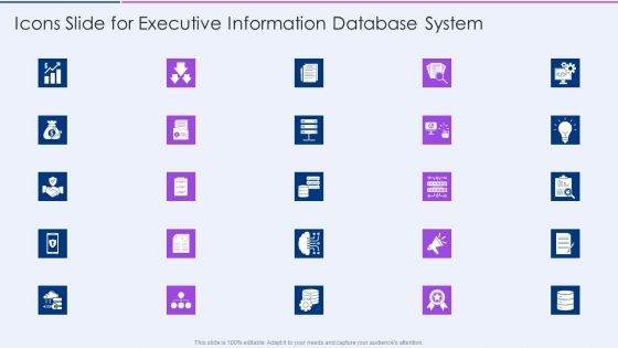 Icons Slide For Executive Information Database System Summary PDF